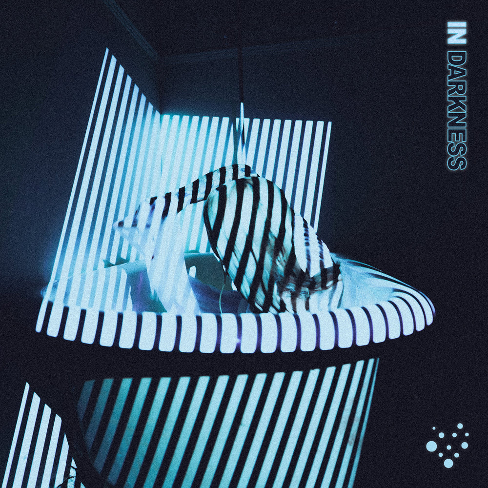 In Darkness [Vinyl] (ONLINE ORDER ONLY)