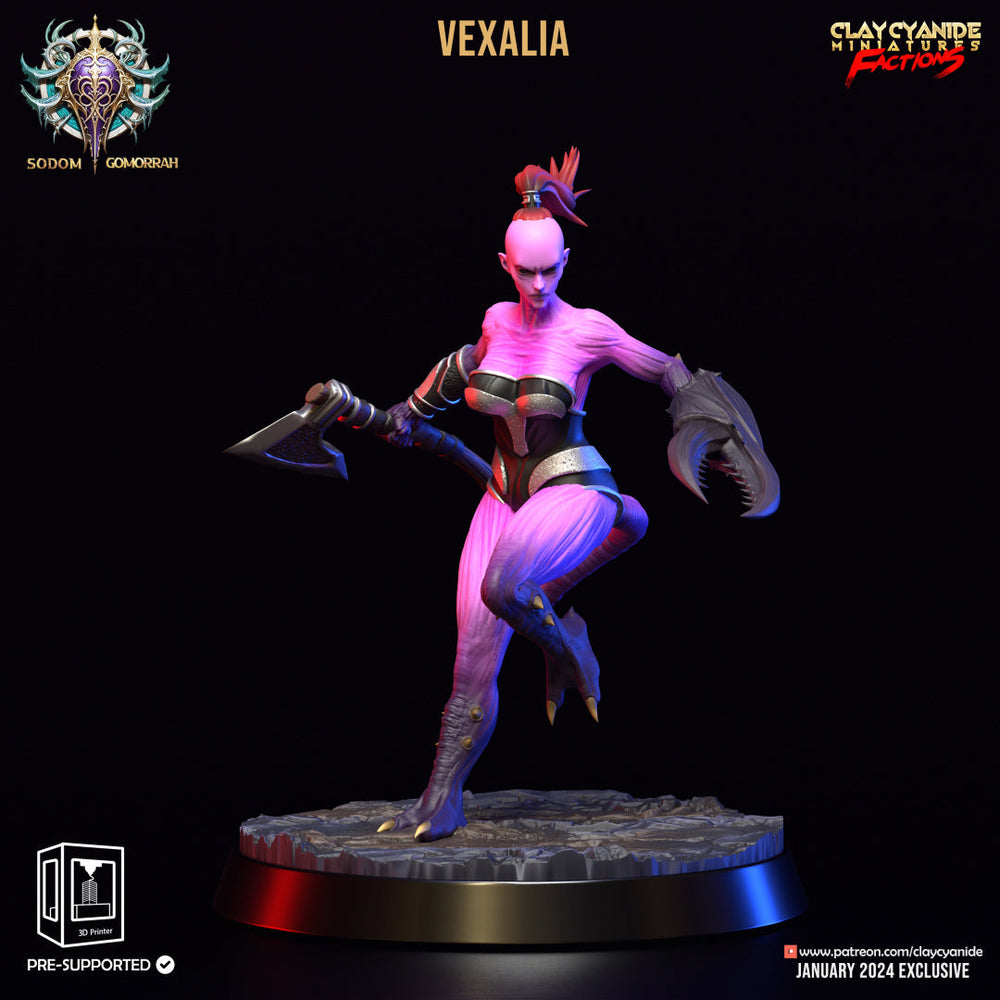3D Printed Clay Cyanide Sodomite Vexxers FACTION 28 32 mm D&D (Online Only)