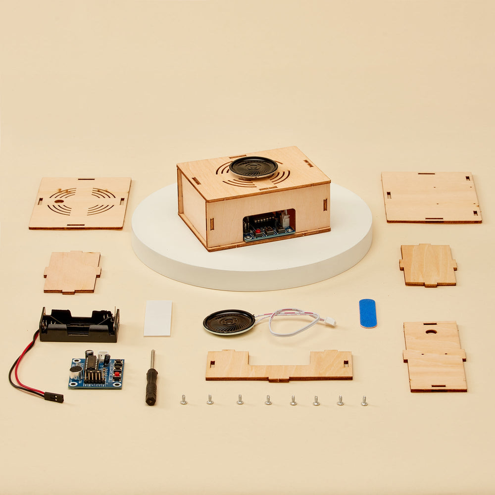 Voice Recorder DIY Kit, Educational STEM Toy (ONLINE ORDER ONLY)