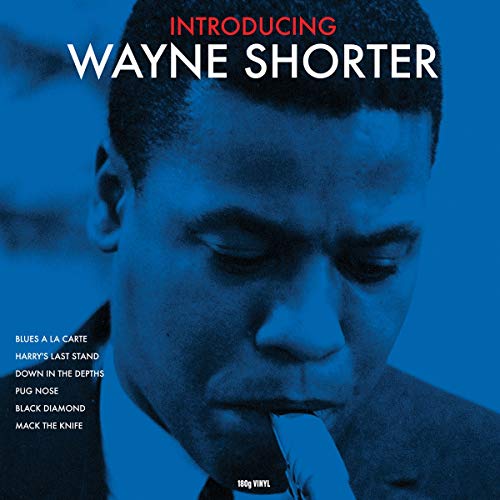 Introducing [Vinyl]