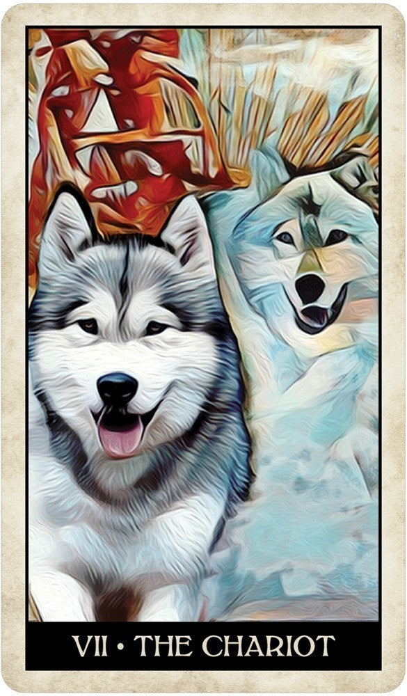 Wise Dog Tarot (ONLINE ORDER ONLY)