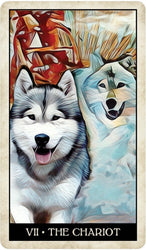 Wise Dog Tarot (ONLINE ORDER ONLY)