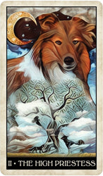 Wise Dog Tarot (ONLINE ORDER ONLY)