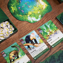 Nature: Module 5 - Amazon Rainforest (ONLINE ORDER ONLY)