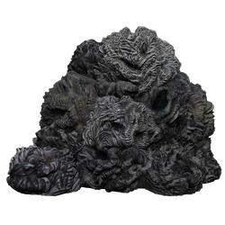 D&D: Icons of the Realms - Adventure in a Box: Wererat Den (ONLINE ORDER ONLY)