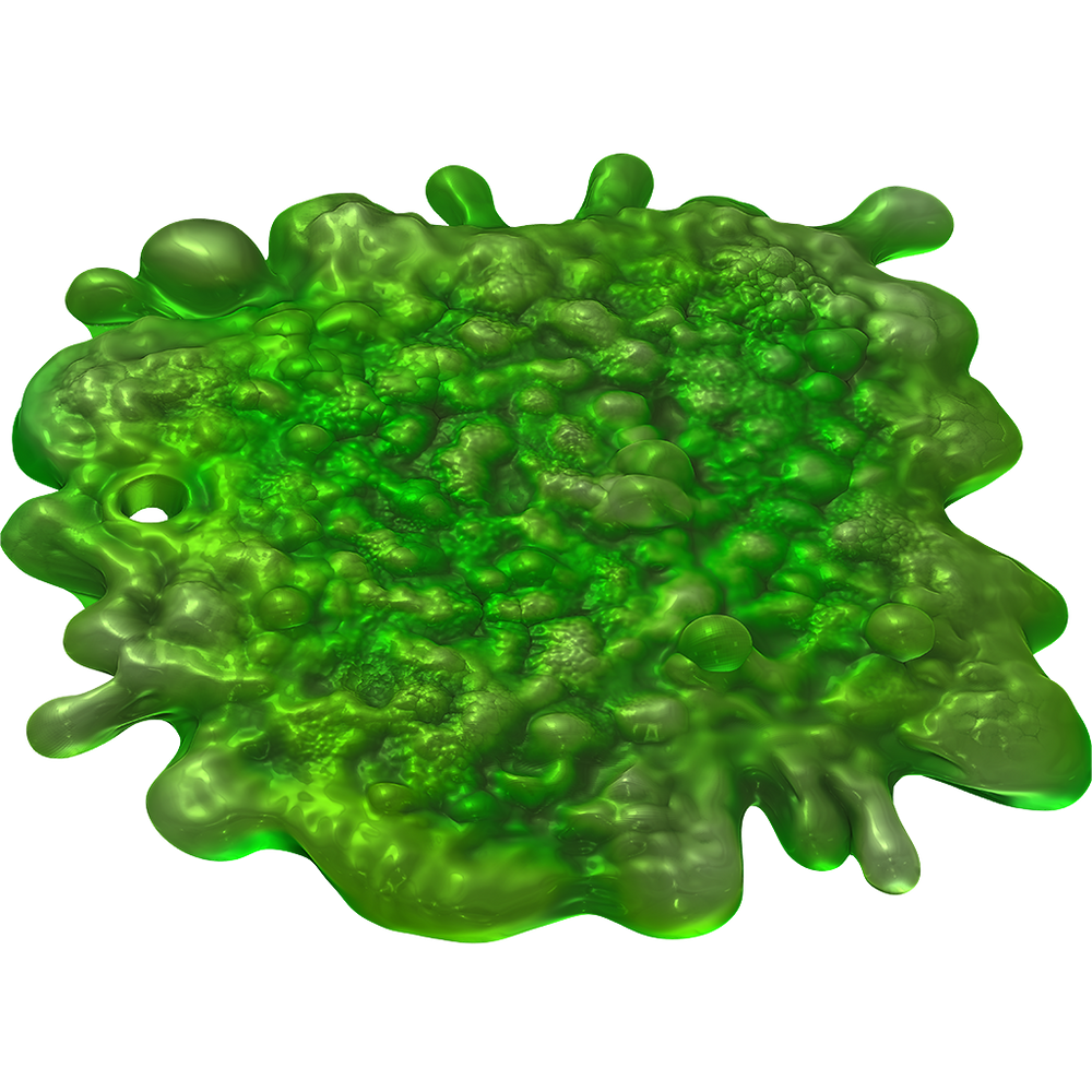 D&D: Icons of the Realms - Adventure in a Box: Wererat Den (ONLINE ORDER ONLY)