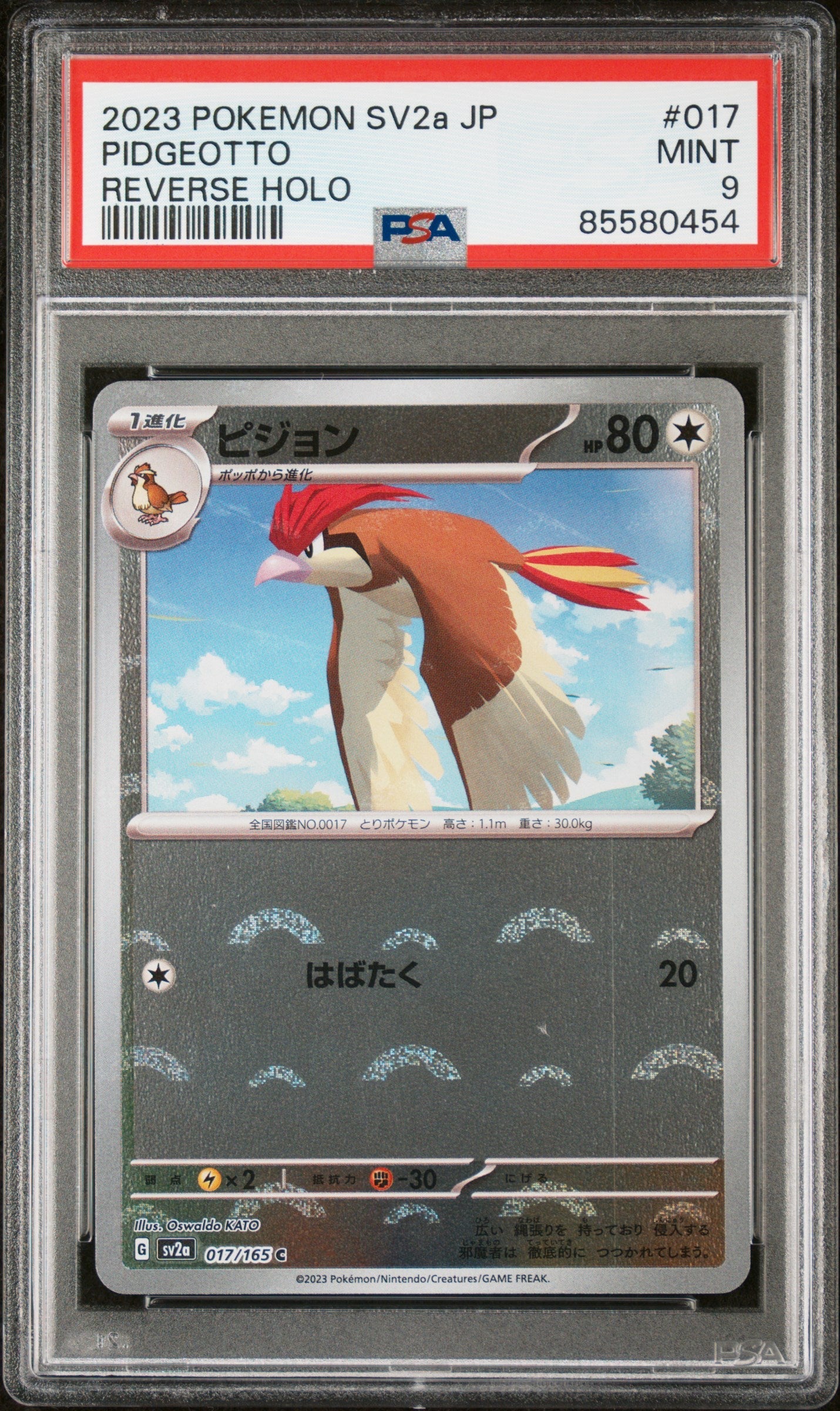 2023 POKEMON JAPANESE SV2a-POKEMON 151 PIDGEOTTO #17 - PSA MINT 9 (Online Order Only)