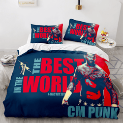 WWE RAW Pattern Bedding Sets Quilt Cover Without Filler (Online Order Only)