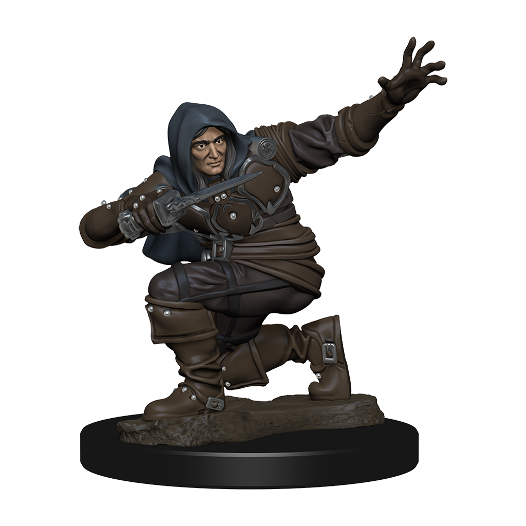 Pathfinder Battles: Human Rogue Male (ONLINE ORDER ONLY)