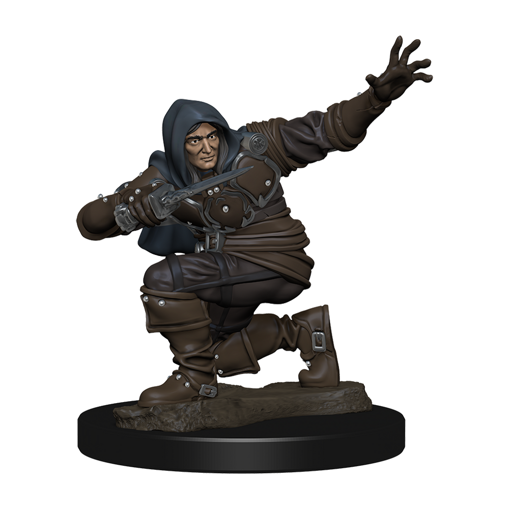 Pathfinder Battles: Human Rogue Male (ONLINE ORDER ONLY)