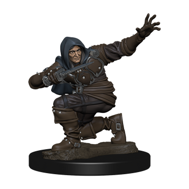 Pathfinder Battles: Human Rogue Male (ONLINE ORDER ONLY)