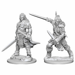 WZK72596 Human Male Fighter Pathfinder Battles Miniatures Unpainted Minis WizKids (ONLINE ORDER ONLY)