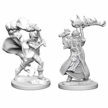 WZK72601 Human Female Cleric Pathfinder Battles Miniatures Unpainted Minis WizKids (ONLINE ORDER ONLY)