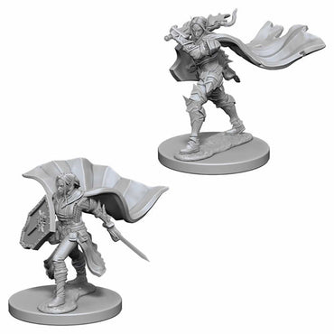 WZK72609 Elf Female Paladin Pathfinder Battles Miniatures Unpainted (ONLINE ORDER ONLY)