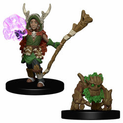 WZK73319 Boy Druid And Tree Creature Miniatures Pre-painted Minis (ONLINE ORDER ONLY)