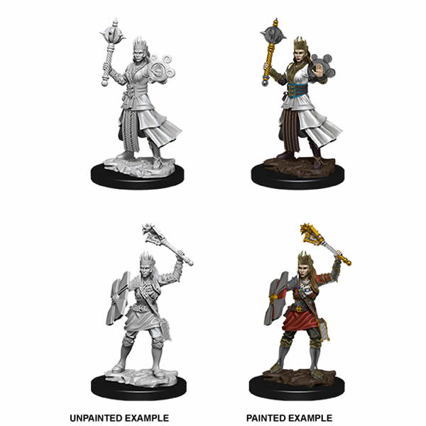 WZK73671 Female Human Cleric Nozurs Marvelous Miniatures D&D Unpainted (ONLINE ORDER ONLY)