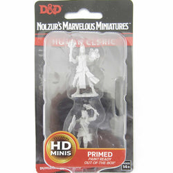 WZK73671 Female Human Cleric Nozurs Marvelous Miniatures D&D Unpainted (ONLINE ORDER ONLY)