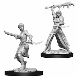 WZK73831 Female Human Rogue Nozurs Marvelous Miniatures D&D Unpainted (ONLINE ORDER ONLY)