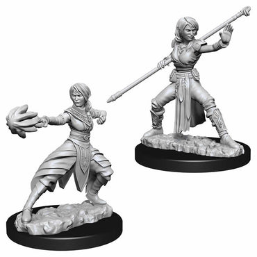 WZK73839 Female Half Elf Monk Nozurs Marvelous Miniatures D&D Unpainted (ONLINE ORDER ONLY)