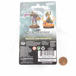 WZK90015 Arcanaloth and Ultroloth Nozurs Marvelous Miniatures D&D Unpainted Miniatures (ONLINE ORDER ONLY)