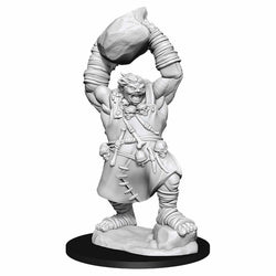 WZK90041 Ogre Pathfinder Battles Deep Cuts Miniatures Unpainted WizKids (ONLINE ORDER ONLY)