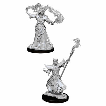 WZK90052 Male Human Sorcerer Pathfinder Battles Deep Cuts Miniatures (ONLINE ORDER ONLY)