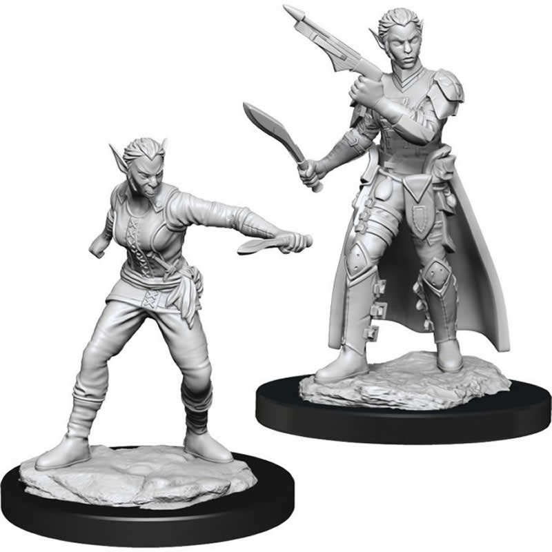 WZK90148 Shifter Rogue Female Nozurs Marvelous Miniatures D&D Unpainted Miniatures (ONLINE ORDER ONLY)