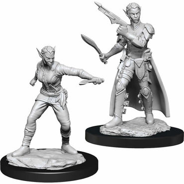 WZK90148 Shifter Rogue Female Nozurs Marvelous Miniatures D&D Unpainted Miniatures (ONLINE ORDER ONLY)