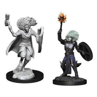 WZK90237 Changeling Cleric Male Nozurs Marvelous Miniatures D&D Unpainted Miniatures (ONLINE ORDER ONLY)