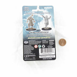 WZK90241 Scarecrow and Stone Cursed Nozurs Marvelous Miniatures D&D Unpainted Miniatures (ONLINE ORDER ONLY)