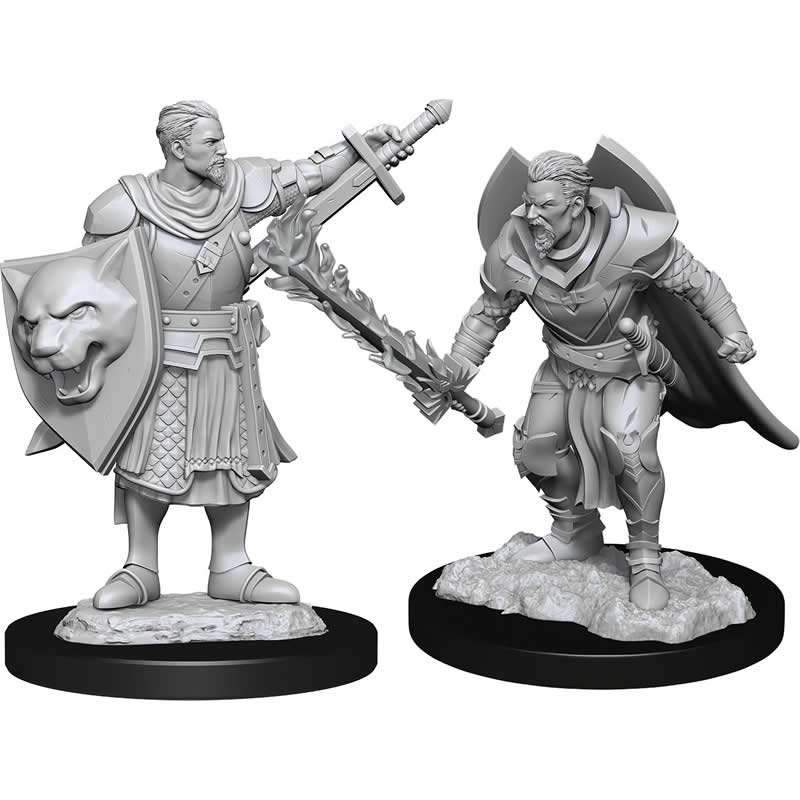 WZK90263 Human Champion Male Miniature Figure Pathfinder Battles Deep Cuts Unpainted Miniatures (ONLINE ORDER ONLY)