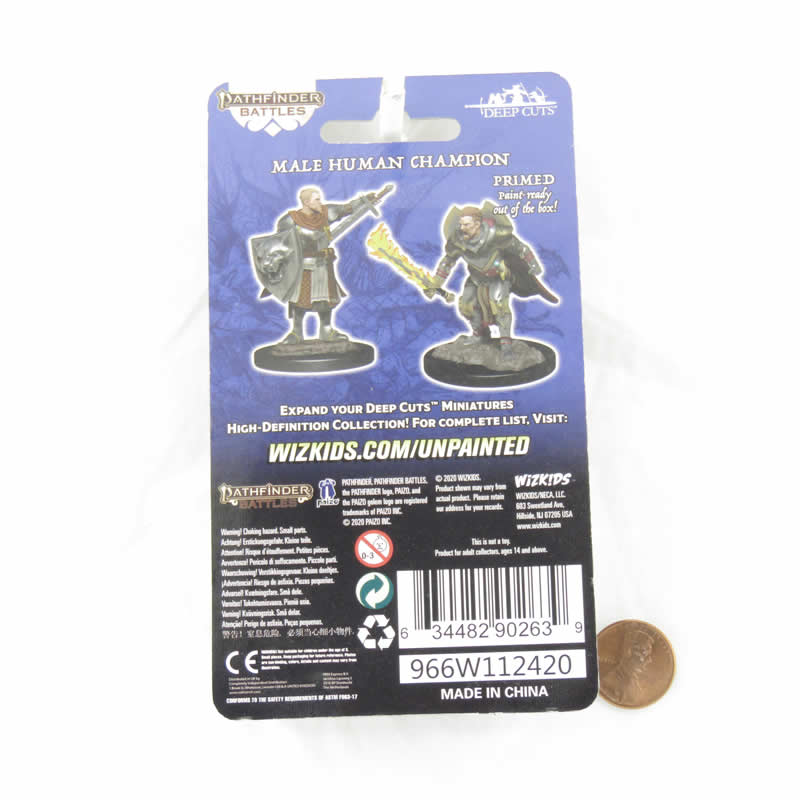 WZK90263 Human Champion Male Miniature Figure Pathfinder Battles Deep Cuts Unpainted Miniatures (ONLINE ORDER ONLY)