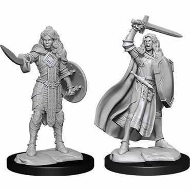 WZK90264 Human Champion Female Miniature Figure Pathfinder Battles Deep Cuts Unpainted Miniatures (ONLINE ORDER ONLY)