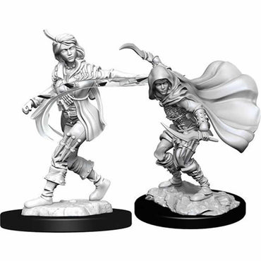 WZK90269 Human Rogue Female Miniature Figure Pathfinder Battles Deep Cuts Unpainted Miniatures (ONLINE ORDER ONLY)
