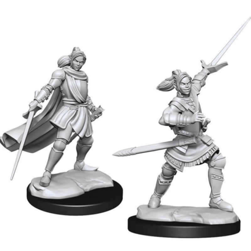 WZK90390 Half-elf Pally Xhorhas Paladin Female Unpainted Miniatures Critical Role Series Figures (ONLINE ORDER ONLY)