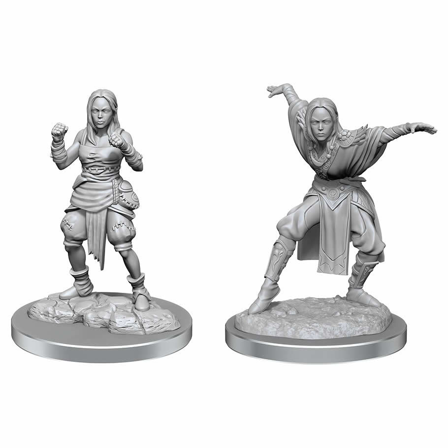 WZK90652 Half-Elf Monk Females Miniature Figure Pathfinder Battles Deep Cuts Unpainted Miniatures WizKids (ONLINE ORDER ONLY)