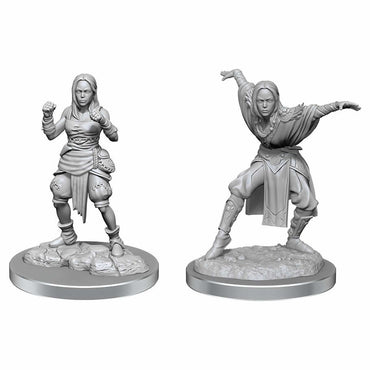 WZK90652 Half-Elf Monk Females Miniature Figure Pathfinder Battles Deep Cuts Unpainted Miniatures WizKids (ONLINE ORDER ONLY)