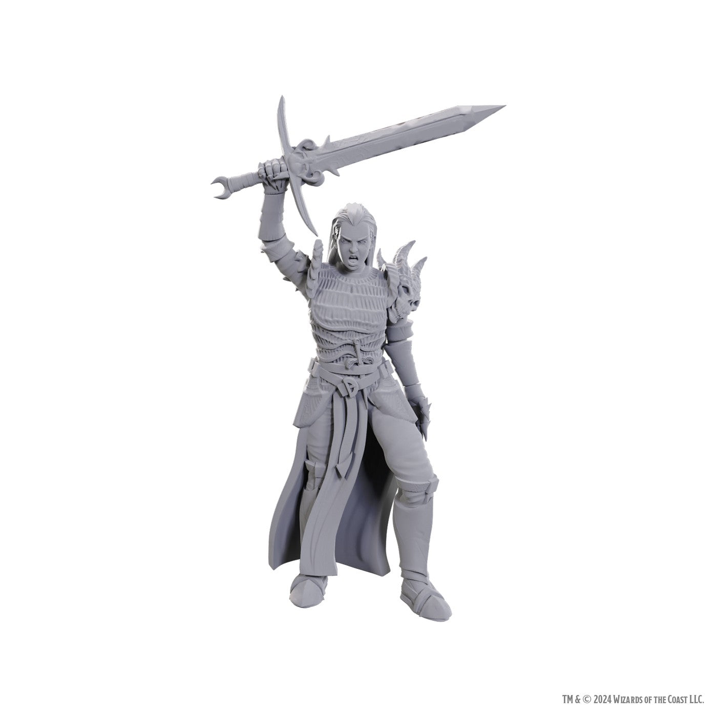 D&D Nolzur's Marvelous Miniatures: Blackguard (Online Order Only)