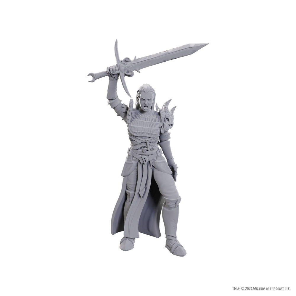 D&D Nolzur's Marvelous Miniatures: Blackguard (Online Order Only)