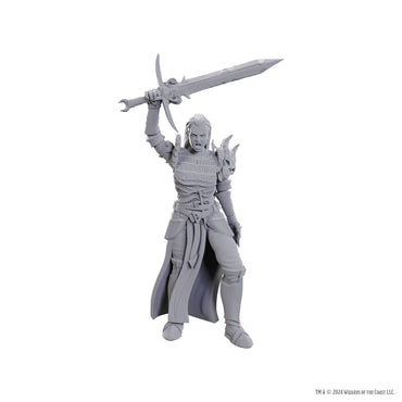 D&D Nolzur's Marvelous Miniatures: Blackguard (Online Order Only)
