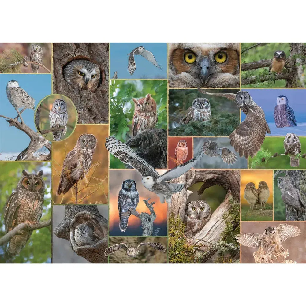 Watchful Wonders "Mixed Up" 1000 Piece Jigsaw Puzzle PuzzleTwist
