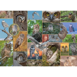 Watchful Wonders "Mixed Up" 1000 Piece Jigsaw Puzzle PuzzleTwist