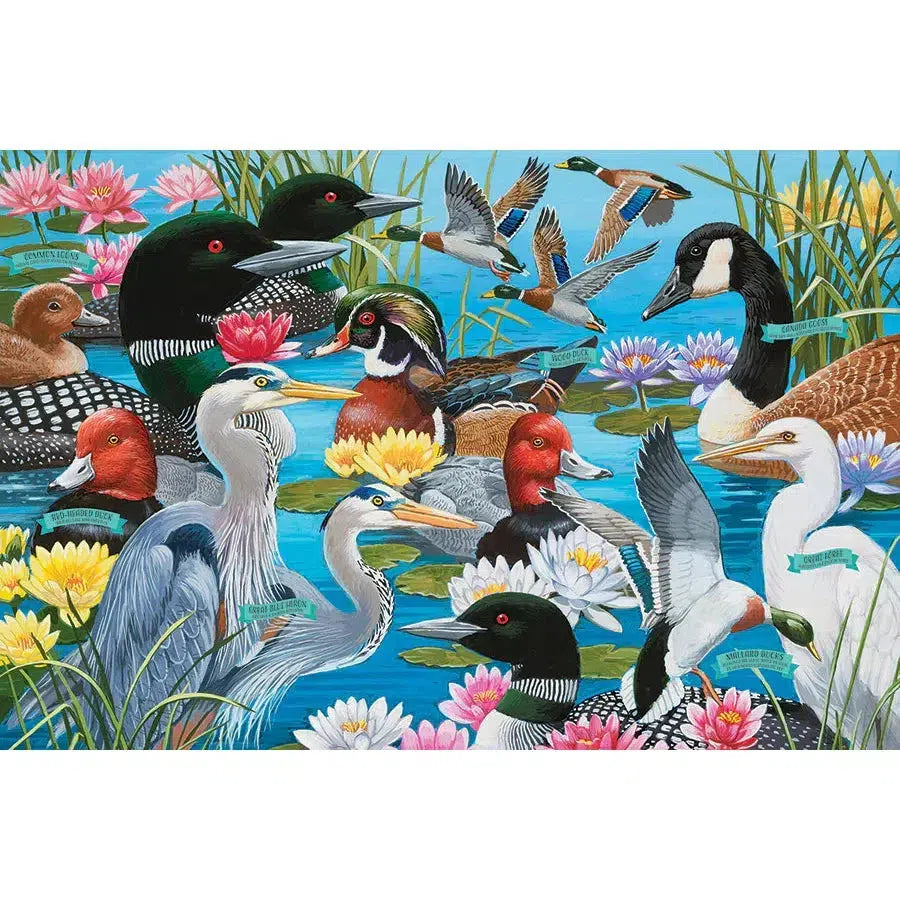 Water Birds 36 Piece Floor Jigsaw Puzzle Cobble Hill (ONLINE ORDER ONLY)