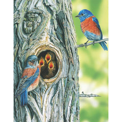 Western Bluebird 100 Piece Mini Jigsaw Puzzle NYPC (ONLINE ORDER ONLY)
