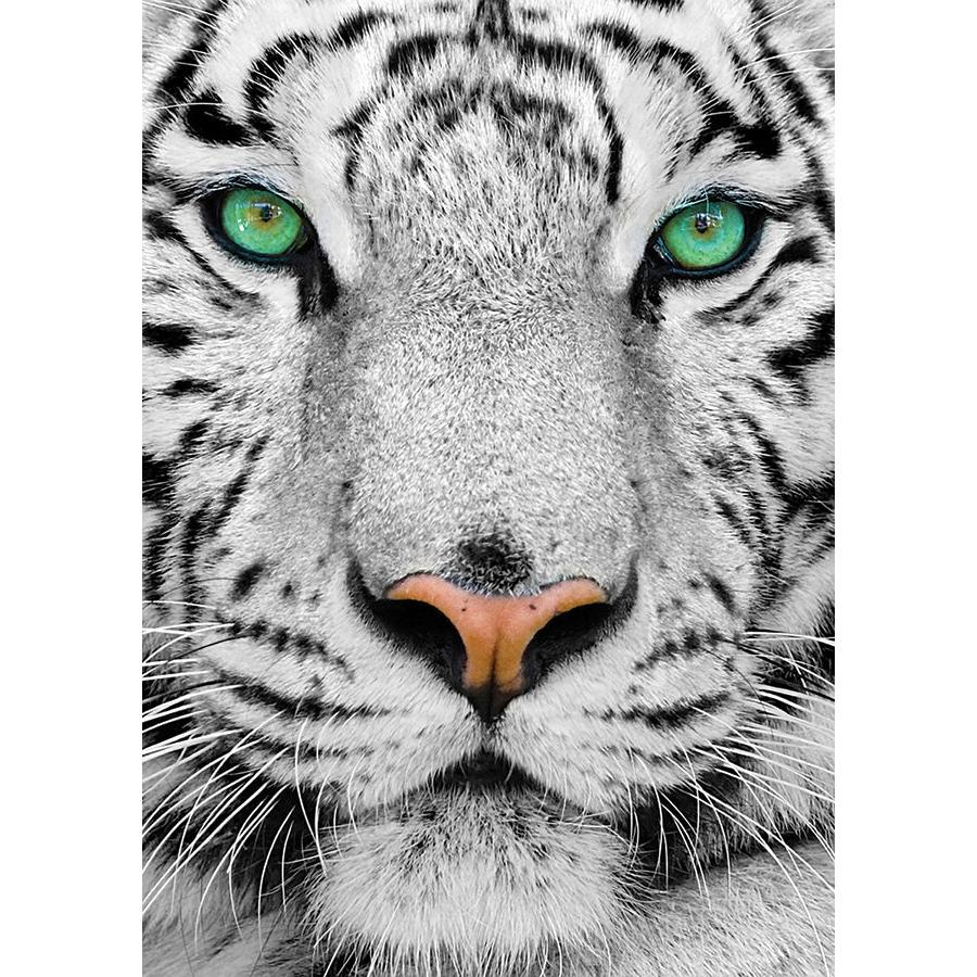 White Siberian Tiger 1000 Piece Jigsaw Puzzle Enjoy (ONLINE ORDER ONLY)