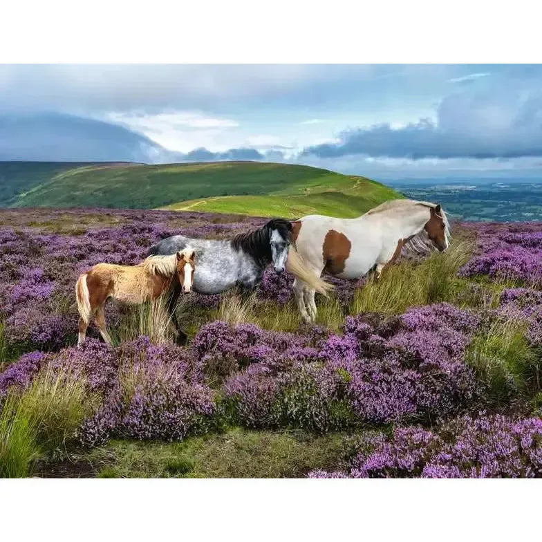 Wild Horses 2000 Piece Jigsaw Puzzle Ravensburger (ONLINE ORDER ONLY)