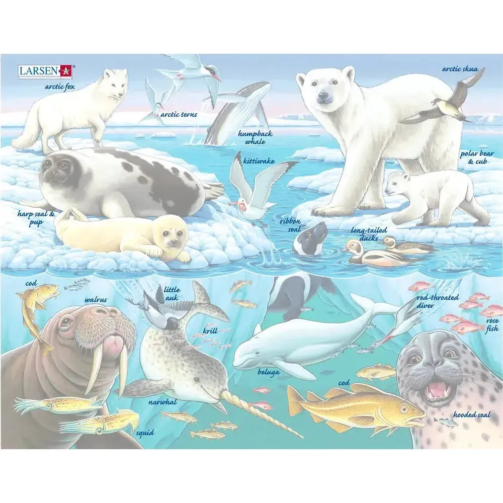 Wildlife On & Around an Arctic Iceberg 75 Piece Tray Jigsaw Puzzle Larsen