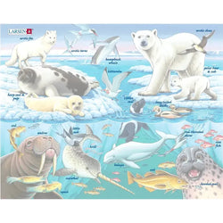 Wildlife On & Around an Arctic Iceberg 75 Piece Tray Jigsaw Puzzle Larsen