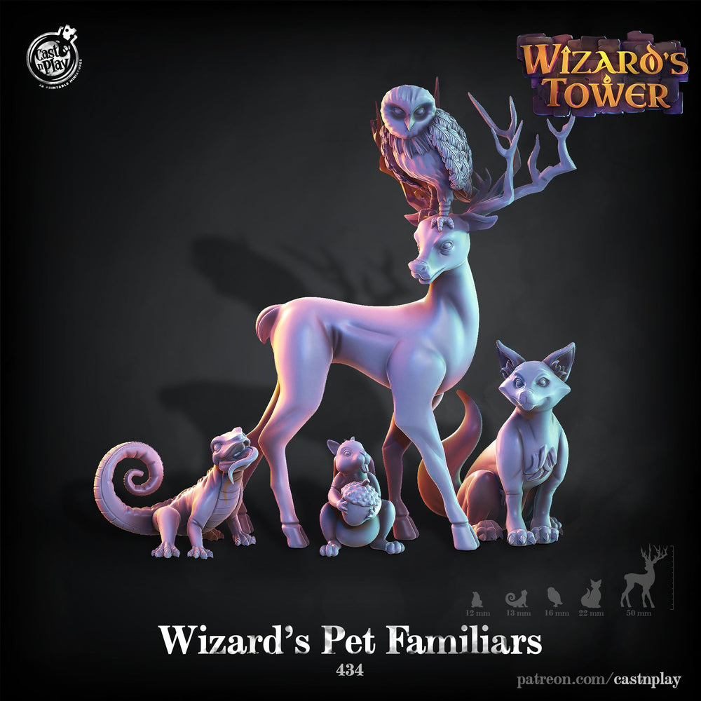 3D Printed Cast n Play - Wizards Pet Familiars 28mm 32mm D&D (Online Only)