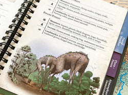 Wondrous Expeditions Forests - Pocket Guide (Hardcover) (ONLINE ORDER ONLY)